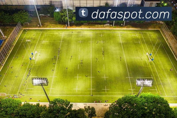 大发官网发展历程